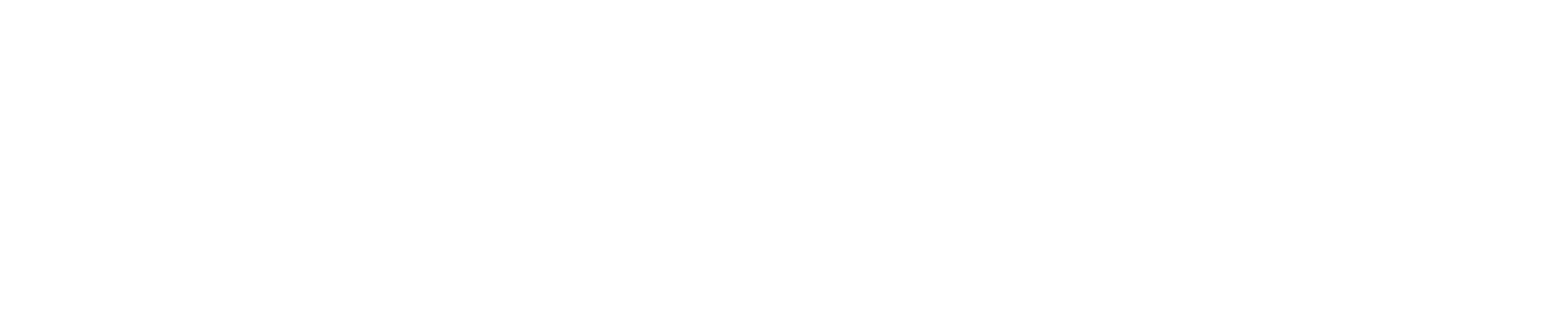 Licher Systembau Logo